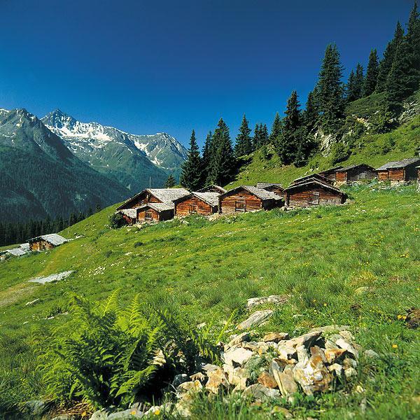 Alp Chalet Appartement Kappl  Exteriér fotografie